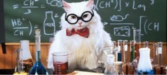 Science Cat 